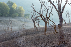 1101_0470_Embalse_El_Grado_Huesca_Spain.jpg