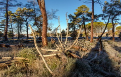 1100_1003_Soria_Spain.jpg