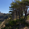1100_7165-Ermita_de_la_Virgen_del_Tozal_Huesca_Spain.jpg