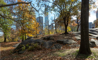 1100 8639 Central Park New York USA
