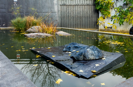 1101 5705  Bonsai Garden Alcobendas Madrid Spain
