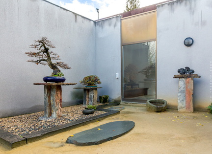 1101 5717  Bonsai Garden Alcobendas Madrid Spain