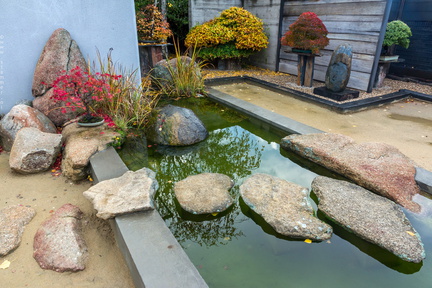 1101 5726  Bonsai Garden Alcobendas Madrid Spain