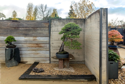 1101 5727  Bonsai Garden Alcobendas Madrid Spain