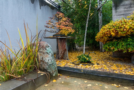 1101 5731  Bonsai Garden Alcobendas Madrid Spain