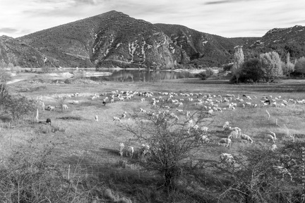 115431118 00343 BW Mediano Huesca Spain